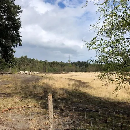 Mir Lo In Adults Only 4* Mierlo