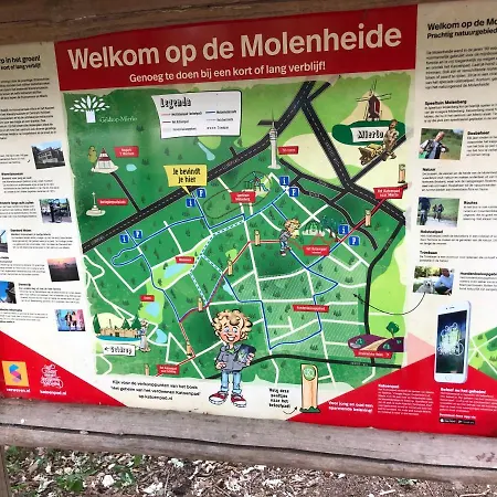 Mir Lo In Adults Only Couette-café