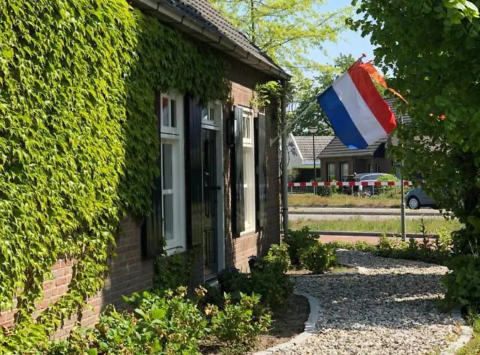 Mir Lo In Adults Only Panzió