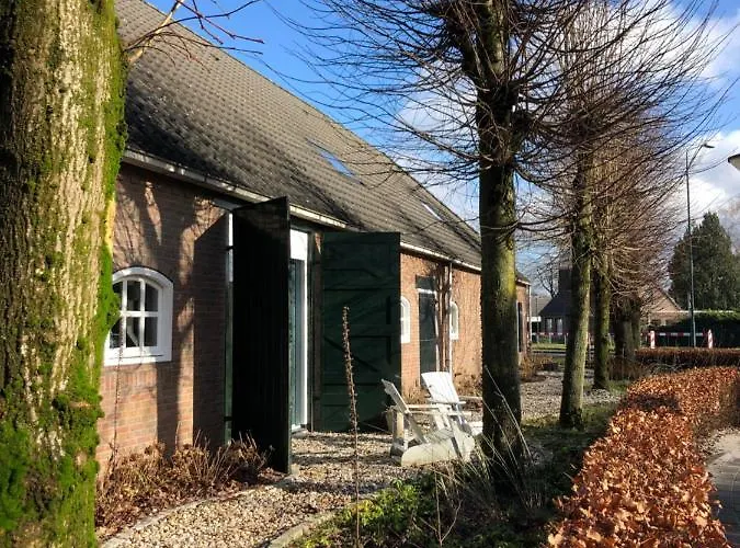 Mir Lo In Adults Only 4*