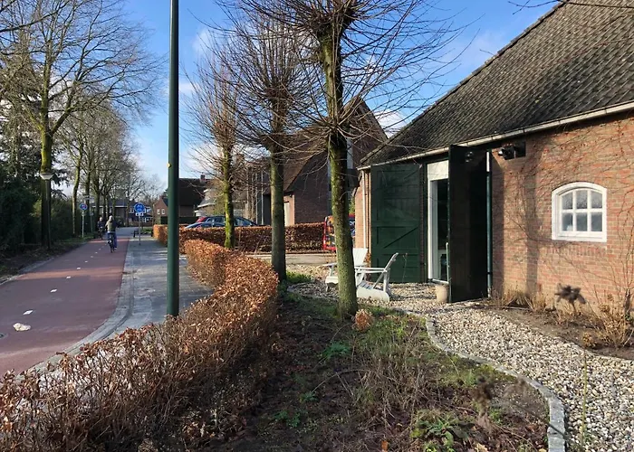 Mir Lo In Adults Only