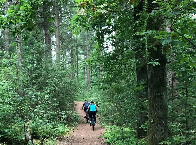 Mir Lo In Adults Only 4*