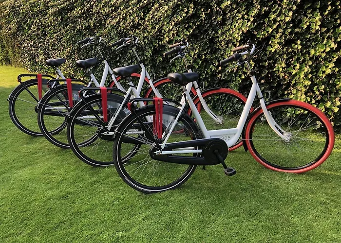 Mir Lo In Adults Only Couette-café