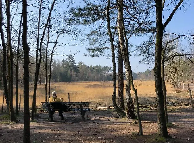 Mir Lo In Adults Only 4* Mierlo