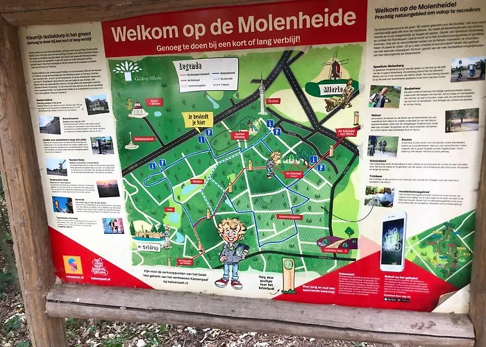 Mir Lo In Adults Only Couette-café