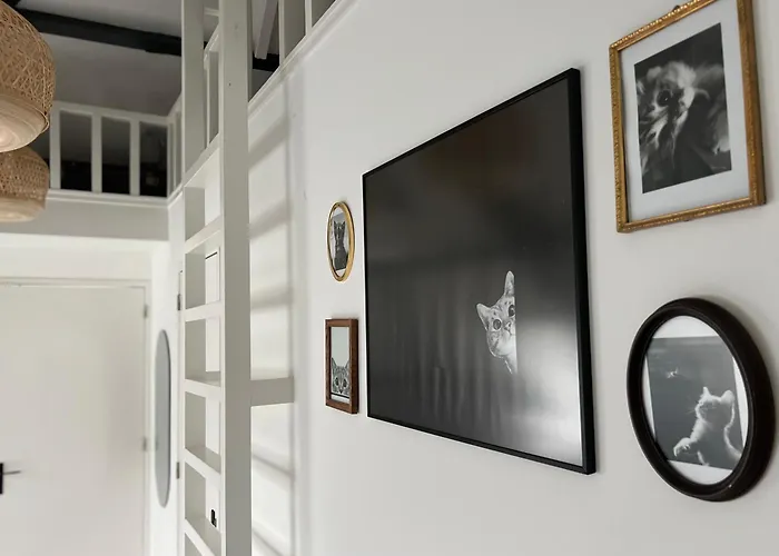 Mir Lo In Adults Only