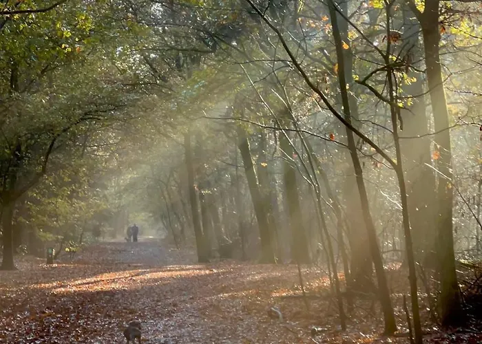 Couette-café Mir Lo In Adults Only 4*