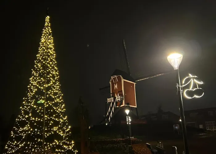 Mir Lo In Adults Only Mierlo