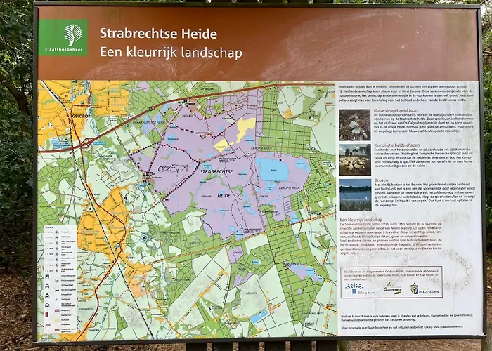 Mir Lo In Adults Only Couette-café Mierlo