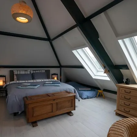 Mir Lo In Adults Only 4*