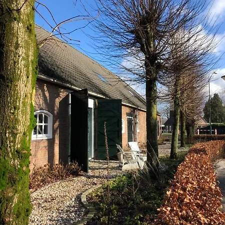 Mir Lo In Adults Only 4*