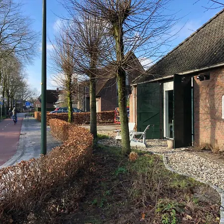 Mir Lo In Adults Only