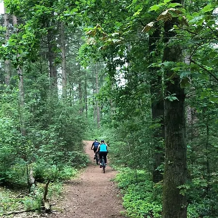 Mir Lo In Adults Only 4*