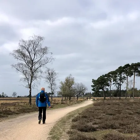 Bed & Breakfast Mir Lo In Adults Only 4*