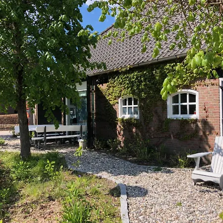 Mir Lo In Adults Only Mierlo