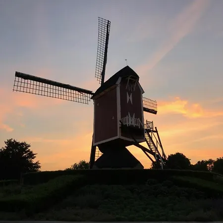 Bed & Breakfast Mir Lo In Adults Only