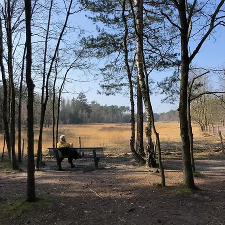 Mir Lo In Adults Only 4* Mierlo