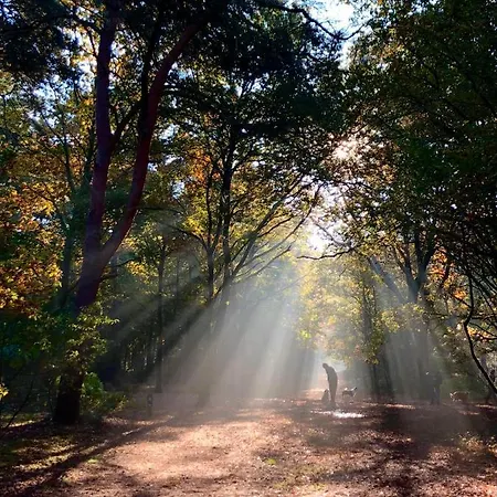 Mir Lo In Adults Only Bed & Breakfast Mierlo