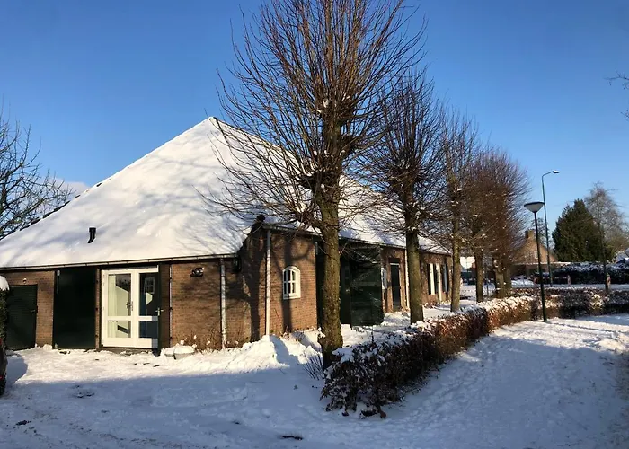 Mir Lo In Adults Only Mierlo