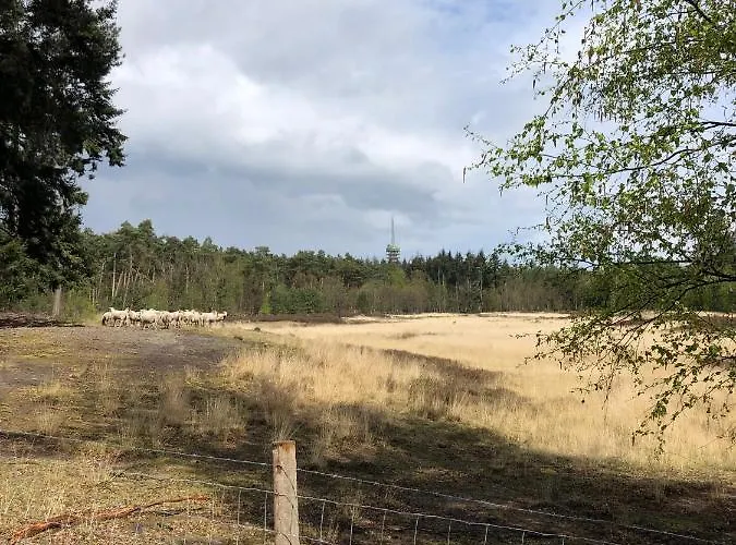 Mir Lo In Adults Only 4* Mierlo