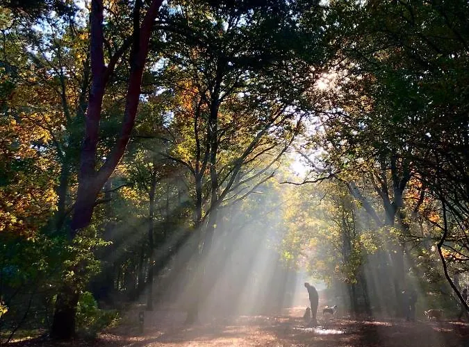 Mir Lo In Adults Only Bed & Breakfast Mierlo